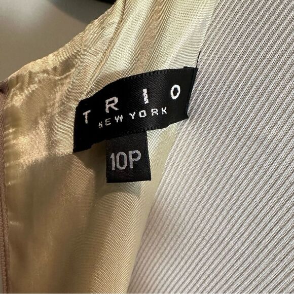 Trio New York Career Beige/Tan/Brown Above Knee Sheath Dress Size 10P - Picture 5 of 10